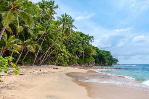 Conference by the sea, sunny days, warm sand, & beautiful ocean @ Iberostar Pariso Beach, Riviera Image